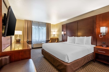 Room, 1 King Bed, Accessible, Non Smoking