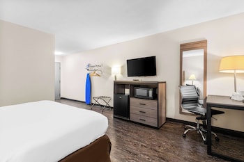 Standard Room, 1 King Bed, Accessible, Bathtub