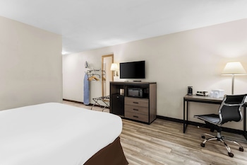 Standard Room, 1 King Bed, Accessible, Non Smoking