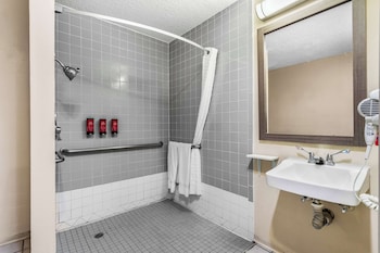 Standard Room, 1 King Bed, Accessible, Non Smoking
