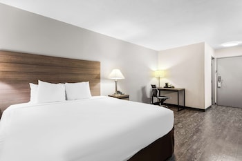 Standard Room, 1 King Bed, Non Smoking, Refrigerator & Microwave
