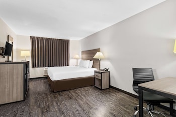 Standard Room, 1 King Bed, Non Smoking, Refrigerator & Microwave