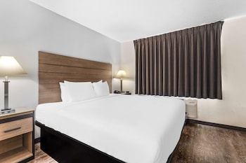 Standard Room, 1 King Bed, Non Smoking, Refrigerator & Microwave (Larger Room;with Sofabed)