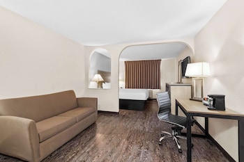 Standard Room, 1 King Bed, Non Smoking, Refrigerator & Microwave (Larger Room;with Sofabed)