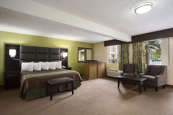 Studio Suite, 1 Queen Bed, Non Smoking