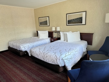 Standard Room, 2 Double Beds