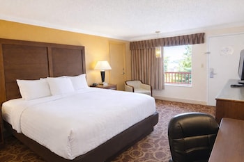 Room, 1 King Bed, Non Smoking