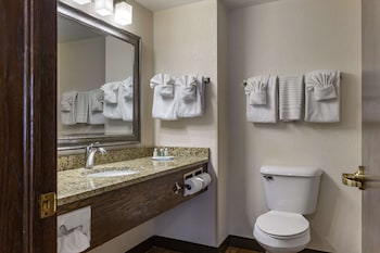 Executive suite Non smoking, King and Sofa bed, Hot Tub (NO PETS)