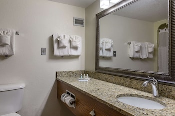 Mini Suite, Jetted Tub in bathroom