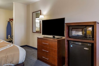 Room, 1 Queen Bed, Non Smoking