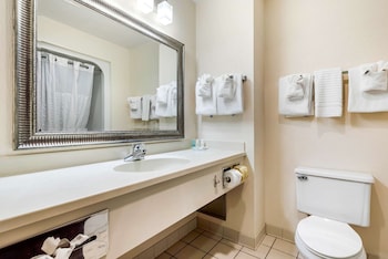 Efficiency Suite Nonsmoking, Hot Tub (NO PETS)