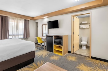 Standard Room, 1 King Bed, Non Smoking
