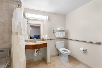 Room, 1 King Bed, Accessible, Non Smoking