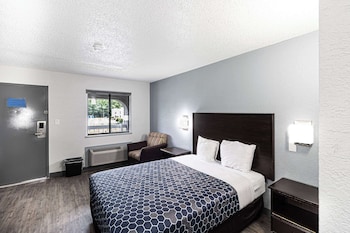 Room, 1 Queen Bed, Non Smoking (Efficiency)