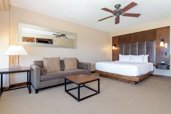 Room, 1 King Bed (Alpine Vista)