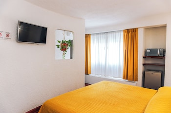 Junior Room, 1 King Bed, Refrigerator & Microwave
