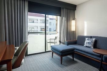 Studio, 1 King Bed with Sofa bed