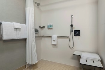 Studio, 1 King Bed with Sofa bed (Mobility Accessible, Roll-in Shower)