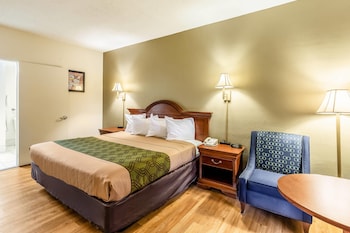 Room, 1 King Bed, Accessible, Non Smoking