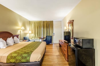 Room, 1 King Bed, Accessible, Non Smoking