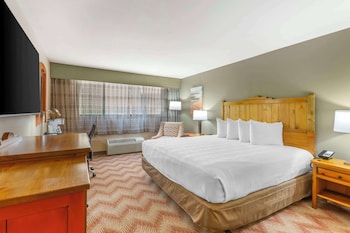 Standard Room, 1 King Bed, Accessible, Non Smoking