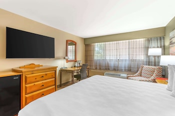 Standard Room, 1 King Bed, Accessible, Non Smoking