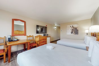 Standard Room, 2 Queen Beds, Non Smoking (Pet Friendly)