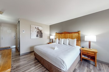 Standard Room, 1 King Bed, Non Smoking (Pet Friendly)