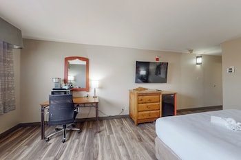 Standard Room, 1 King Bed, Non Smoking (Pet Friendly)