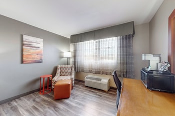 Standard Room, 1 King Bed, Non Smoking (Pet Friendly)