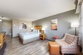 Standard Room, 1 King Bed, Non Smoking (Pet Friendly)