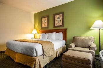 Room, 1 King Bed, Accessible, Non Smoking