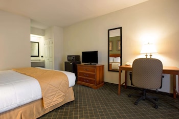 Standard Room, 1 King Bed, Non Smoking