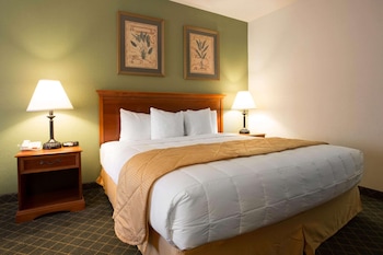 Standard Room, 1 King Bed, Non Smoking