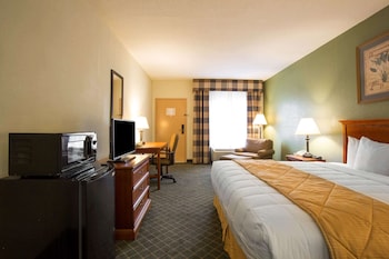 Standard Room, 1 King Bed, Non Smoking