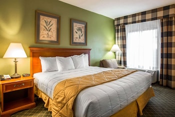 Room, 1 King Bed, Accessible, Non Smoking