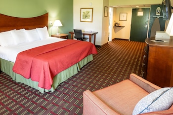 Deluxe Room, 1 King Bed, Non Smoking