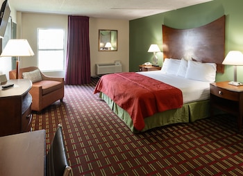 Deluxe Room, 1 King Bed, Non Smoking