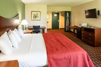 Deluxe Room, 1 King Bed, Non Smoking