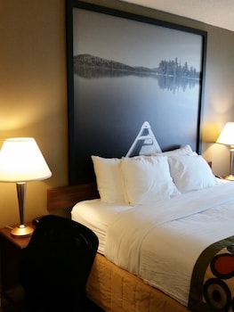 Room, 1 Queen Bed