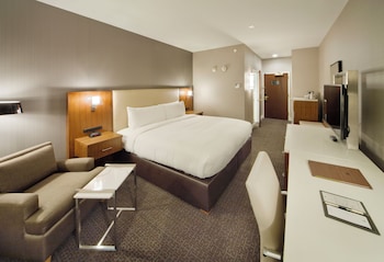 Room, 1 King Bed, Refrigerator & Microwave