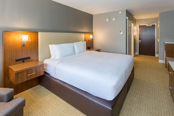 Room, 1 King Bed, Refrigerator & Microwave