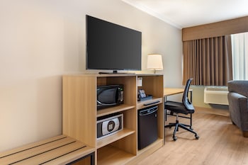 Standard Room, 1 King Bed, Non Smoking, Refrigerator & Microwave
