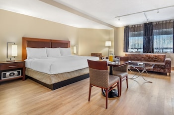 Standard Studio, 1 King Bed, Non Smoking, Kitchenette (Shower Only)