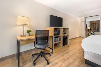 Standard Room, 1 Queen Bed, Non Smoking, Refrigerator & Microwave
