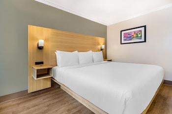 Standard Room, 1 King Bed, Non Smoking, Refrigerator & Microwave