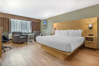 Standard Room, 1 King Bed, Non Smoking, Refrigerator & Microwave