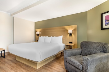 Standard Room, 1 King Bed, Non Smoking, Kitchenette (Larger Room)