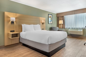Standard Room, 1 Queen Bed, Non Smoking, Refrigerator & Microwave