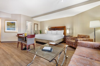 Standard Studio, 1 King Bed, Non Smoking, Kitchenette (Shower Only)